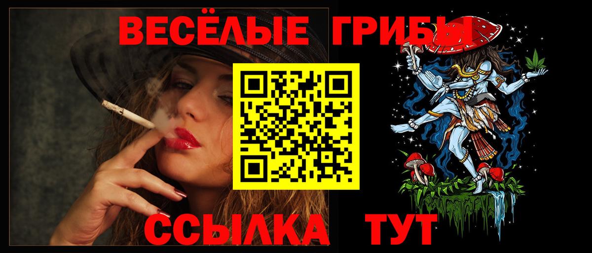 Галлюциногенные грибы Cubensis Сызрань