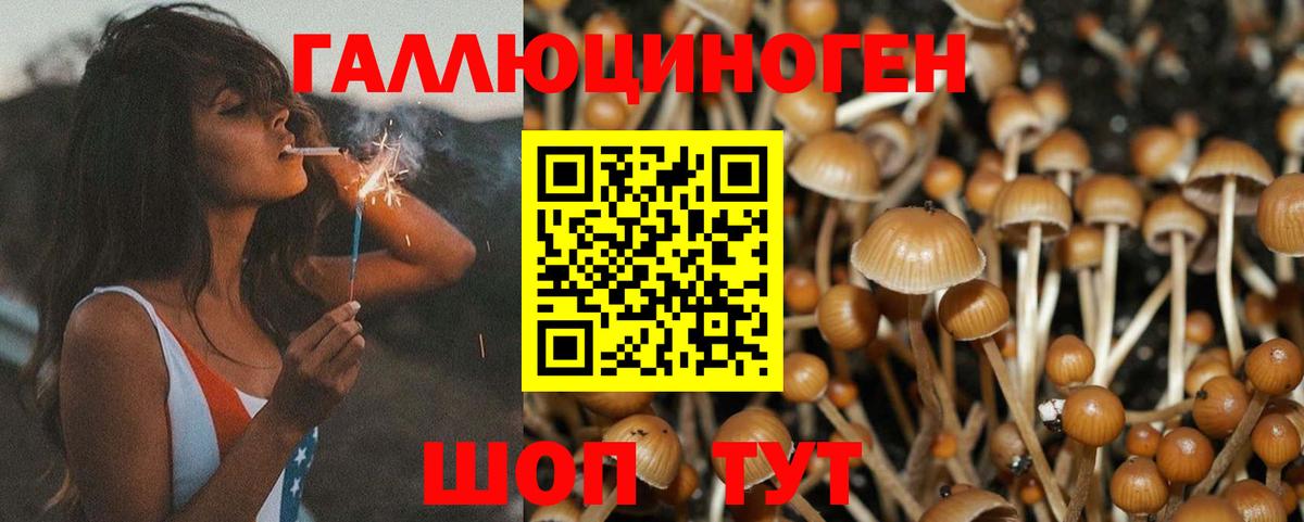 Сызрань  Галлюциногенные грибы Magic Shrooms  Вход с VPN 